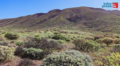 Porto Novo : Le délégué salue l'engagement en faveur de la protection du parc naturel de Tope de Coroa, menacé par le pâturage libre