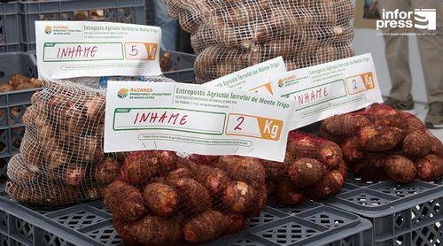 Tarrafal de Monte Trigo: MAA diz que operacionalização do entreposto agrícola só depende da associação de agricultores