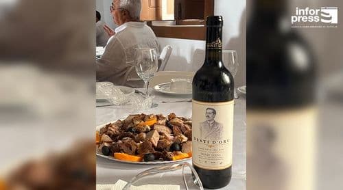 São Filipe: Monte Losna aposta na valorização do vinho do Fogo como produto cultural e estratégico